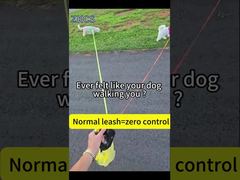 シリコン製の犬用リードで手を自由に保ち、犬を近づけましょう